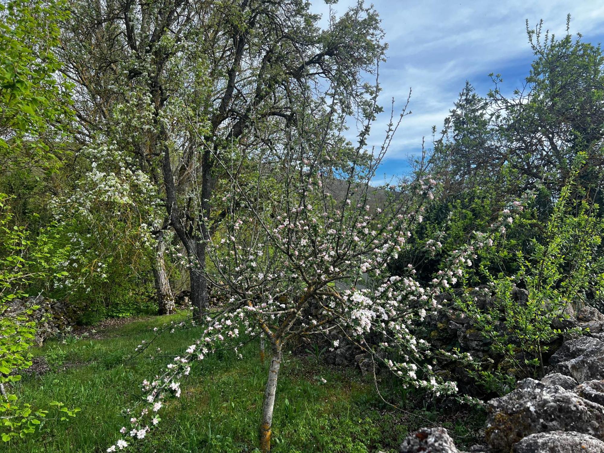 El Pecu Casa Rural Starfamiliar Bustillo Del Paramo Экстерьер фото